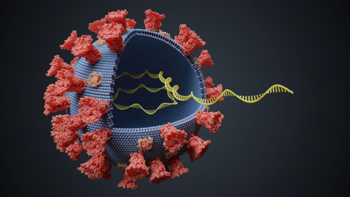 Kann das Coronavirus das menschliche Erbgut verändern? (Foto)
