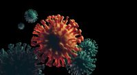 Zwei Coronavirus-Mutationen grassieren aktuell in Deutschland.