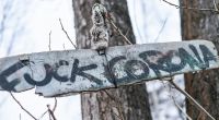 An einem Baum hängt ein Schild mit der Aufschrift 