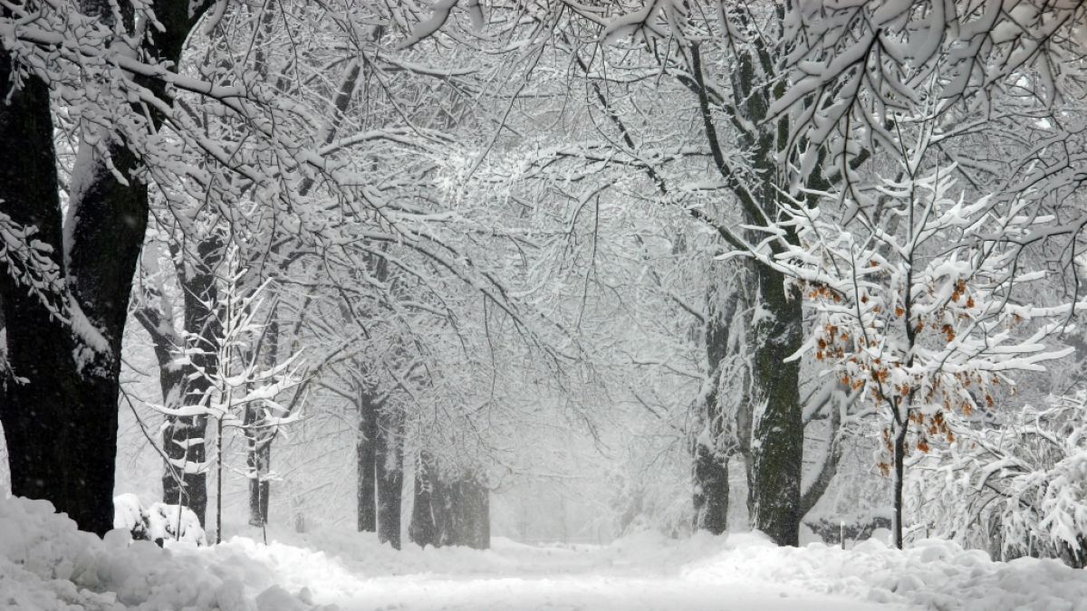 Ein seltenes Winter-Phänomen sorgte im US-Bundesstaat Vermont für Aufruhr. (Foto)