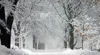 Ein seltenes Winter-Phänomen sorgte im US-Bundesstaat Vermont für Aufruhr.