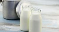 Wie gut ist Bio-Milch wirklich?