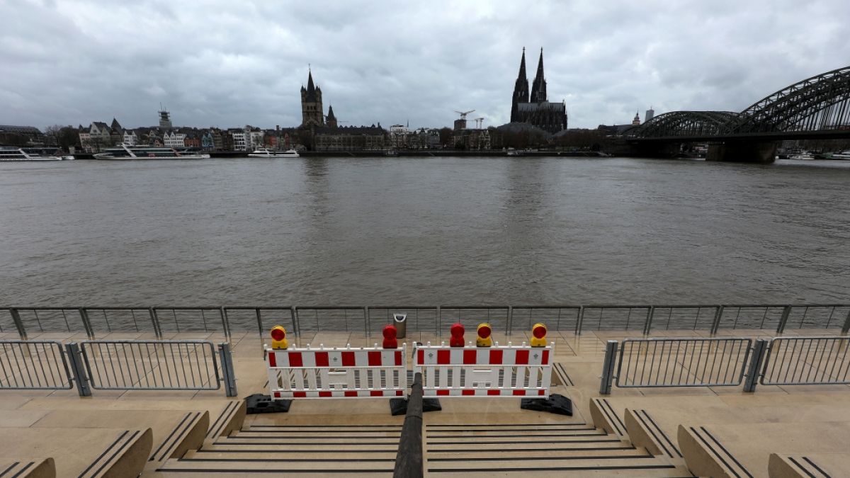 Der Rhein könnte am Wochenende wegen Tauwetters und Regens am Kölner Pegel die erste Hochwassermarke überschreiten. (Foto)
