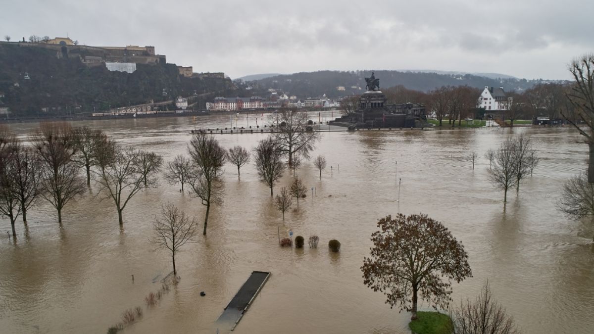 An der Mündung der Mosel in den Rhein am Deutschen Eck sind Wiesen überflutet. (Foto)