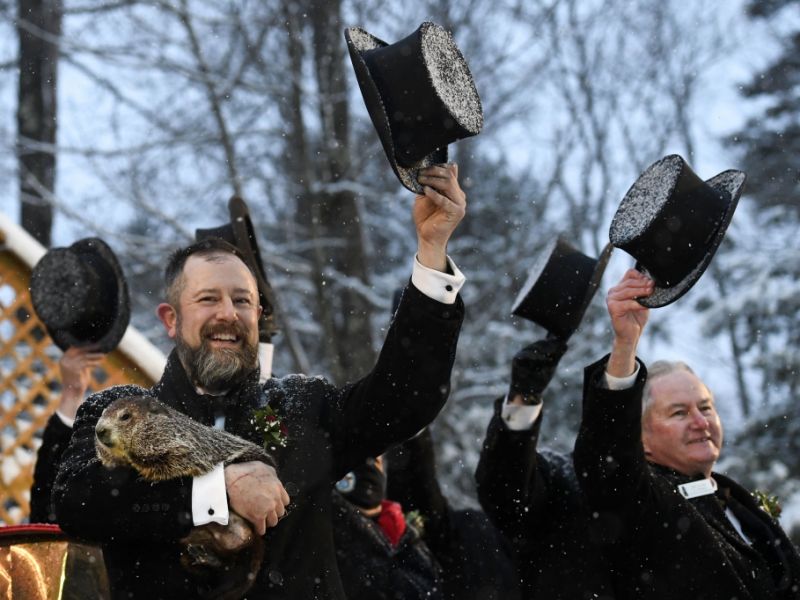Murmeltiertag am 02.02.2026 im Live-Stream: Murmeltier Phil verkündet Wetter-Aussichten - wie lange bleibt der Winter?