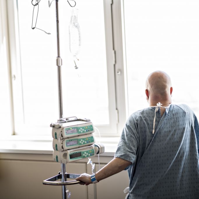 WHO-Experte schockiert! Sterben durch die Corona-Pandemie mehr Krebspatienten?