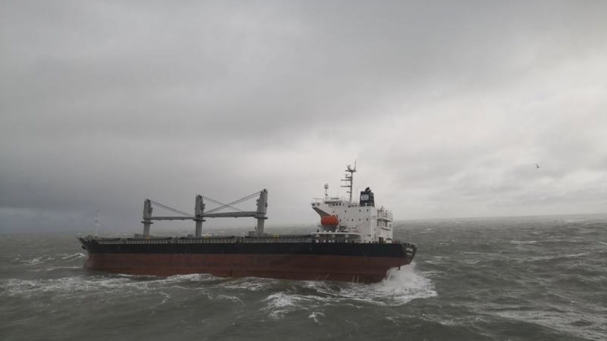 In der Nordsee ist eine junge Frau auf einem Containerschiff über Bord gegangen. (Foto)