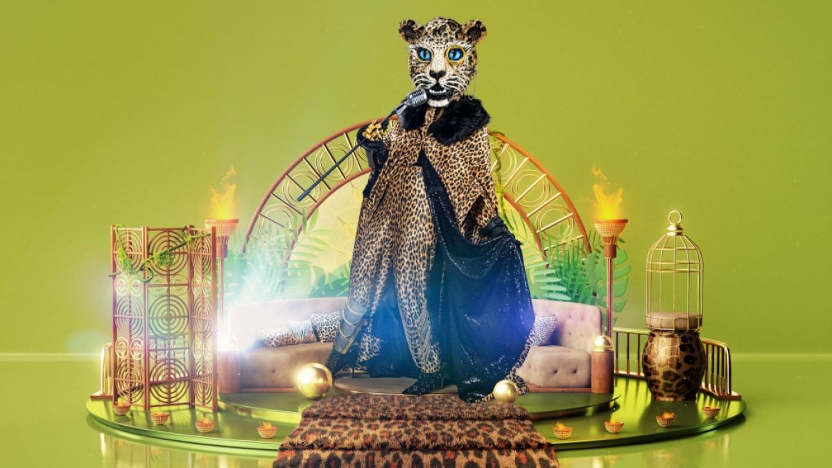 Welcher Promi geht als Leopard auf die "The Masked Singer"-Bühne. (Foto)