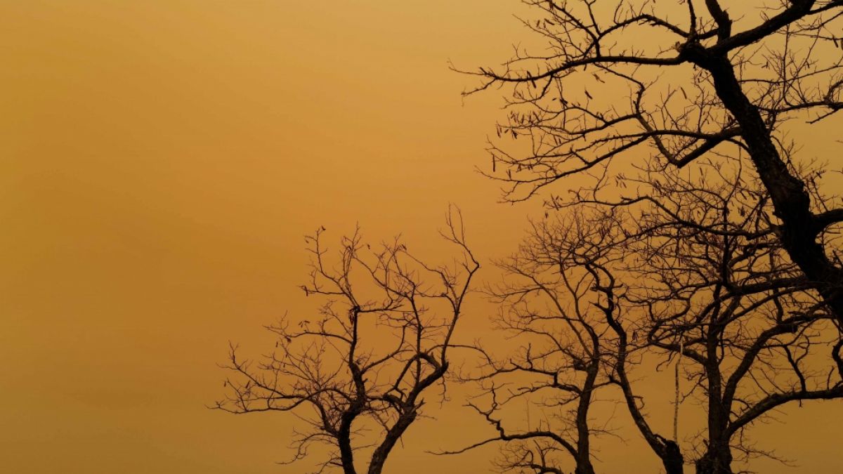 Schöne Grüße aus der Wüste: Sahara-Staub färbt den Himmel orange. (Foto)