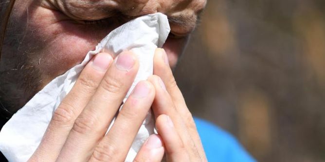 Pollenalarm im März