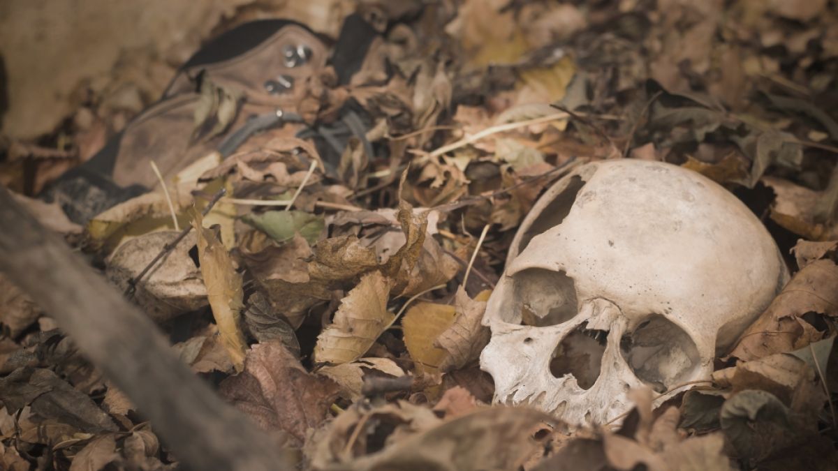Ein Paar hat in Bolton einen menschlichen Schädel gefunden. (Symbolfoto) (Foto)