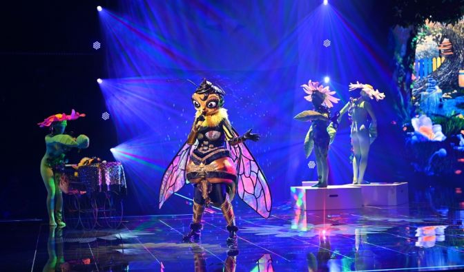 "The Masked Singer 2020"