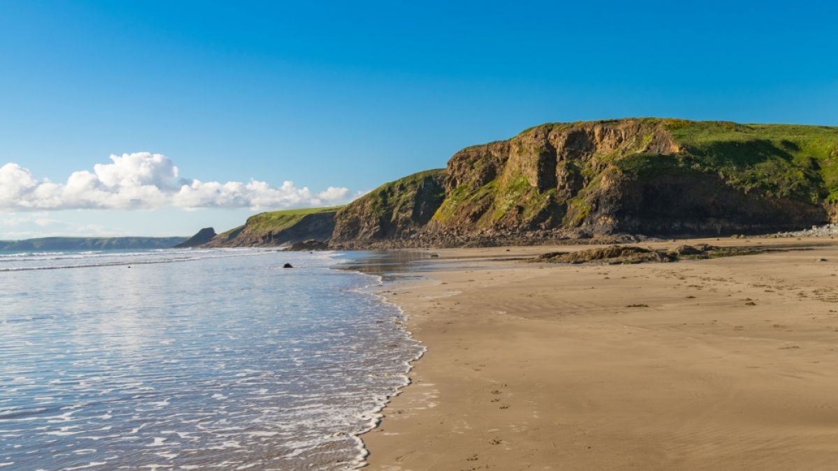 In Wales wurde ein gigantisches Meerungeheuer an den Strand gespült. Biologen sind ratlos. Um welche Art von Kreatur handelt es sich? (Foto)