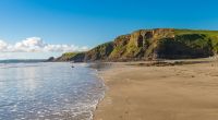 In Wales wurde ein gigantisches Meerungeheuer an den Strand gespült. Biologen sind ratlos. Um welche Art von Kreatur handelt es sich?