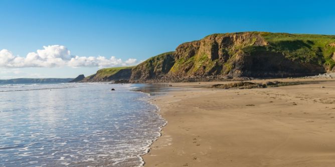 Mysteriöse Kreatur in Wales
