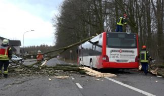 Wetter Prognose Fur April Und Mai 2021 Fruhlingshitze An Ostern Das Berechneten Die Wettermodell News De