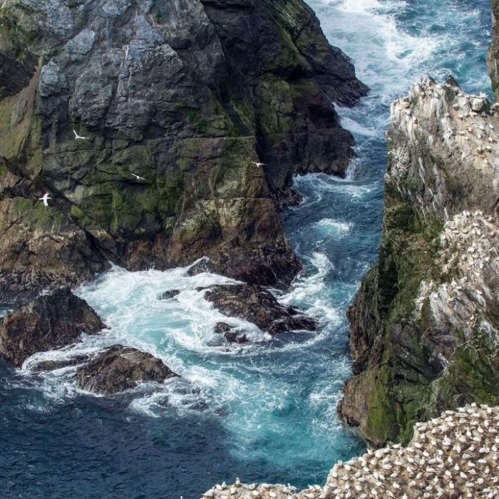Wiederholung der Naturreihe online und im TV Wiederholung der Naturreihe online und im TV (Foto)