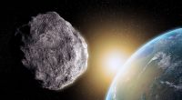 In wenigen Tagen kommt ein Asteroid der Erde näher als der Mond.