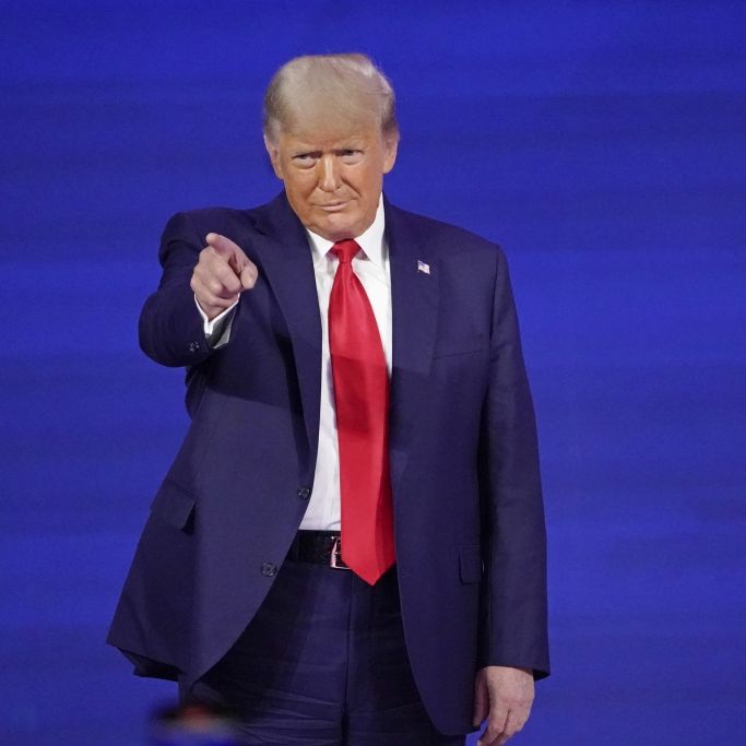 Wahl-Orakel Allan Lichtman sicher: Wird Trump 2024 Präsident?