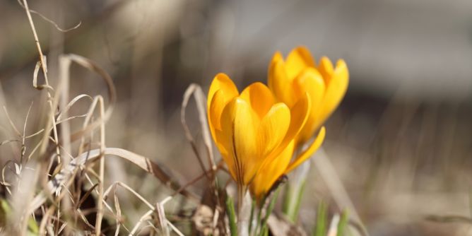 Lebensgefahr im Frühling
