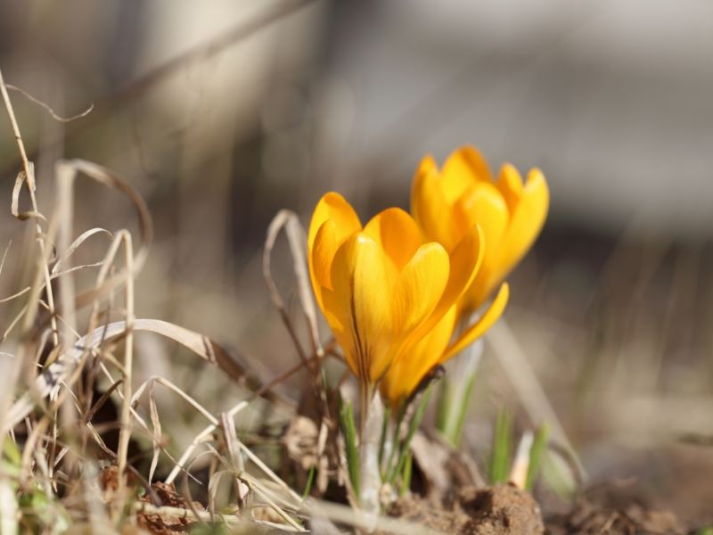 Lebensgefahr im Frühling: 3 Gründe, warum diese Jahreszeit tödlich sein kann