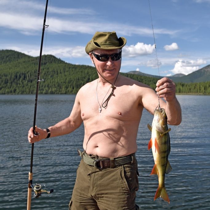 Putin ist der heißeste Mann Russlands und Twitter stirbt fast vor Lachen