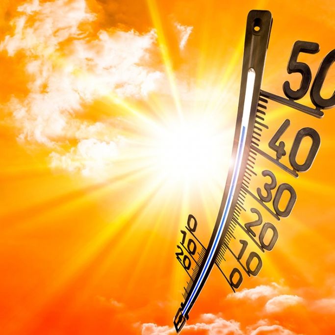 Bis 36 Grad! Meteorologe prophezeit erste Hitzewelle im Juni
