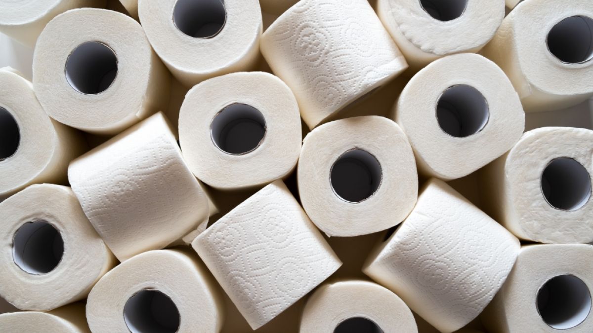 Wie gefährlich ist eigentlich Toilettenpapier? (Foto)