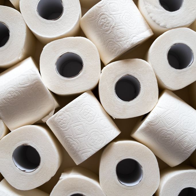 Krebs, Allergien und Co.! Wie gefährlich ist Klopapier?
