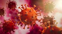 Die aktuellen Coronavirus-News und -Zahlen