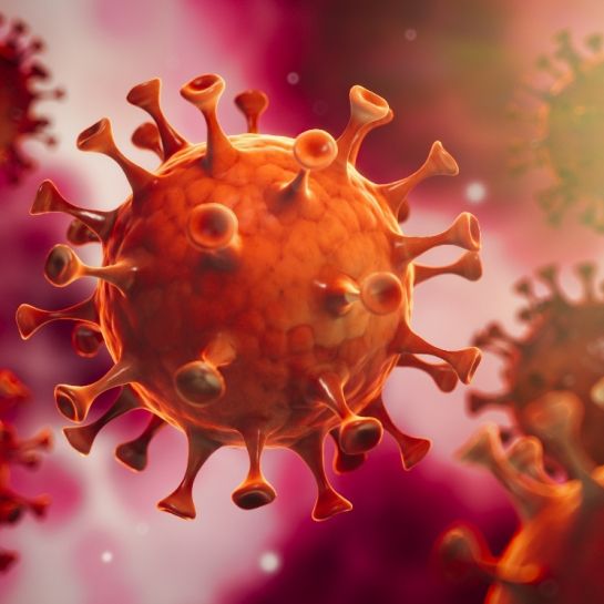 Die Coronavirus-Daten im Überblick