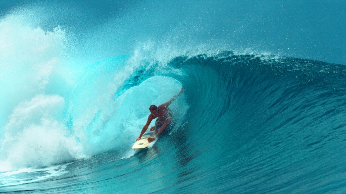 Von Surfer Robert F. fehlt jede Spur. Wurde er Opfer eines Haiangriffs? (Foto)