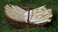 Endlich wieder Spargel satt! In Deutschland hat die Spargelsaison 2026 bereits im März begonnen.