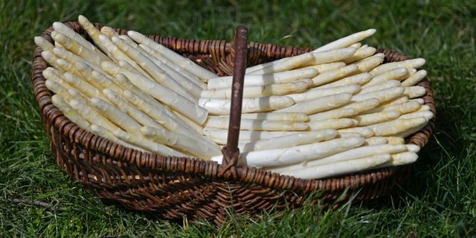 Spargelsaison 2026 beginnt