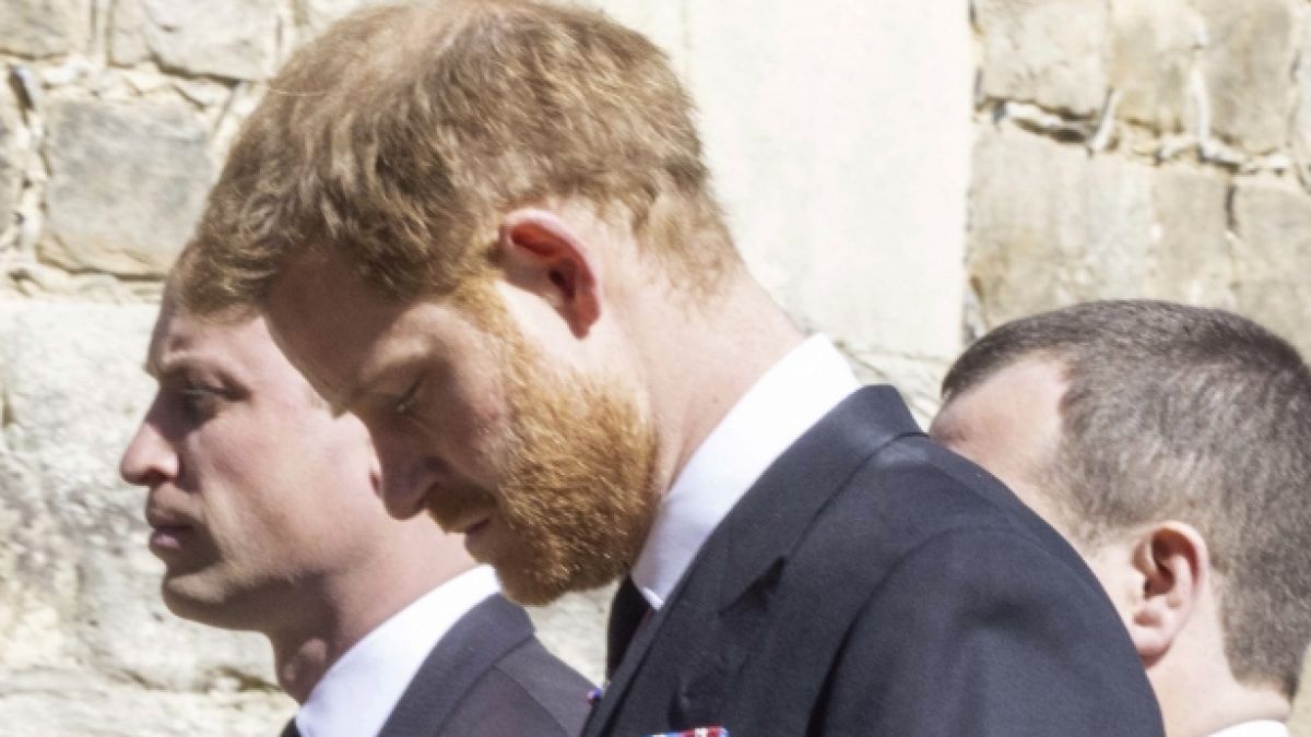 Haben sich Prinz William und Prinz Harry wieder versöhnt? (Foto)