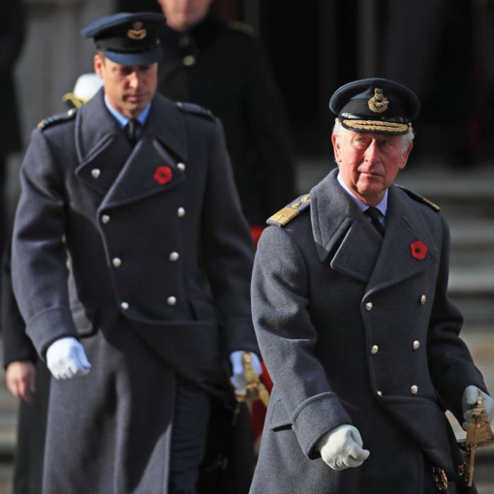 Royals am Scheideweg! Prinz Charles und Prinz William stellen die Weichen (Foto)