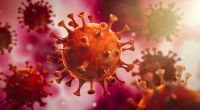 In Großbritannien infizieren sich immer mehr Geimpfte mit der Südafrika-Variante des Coronavirus.