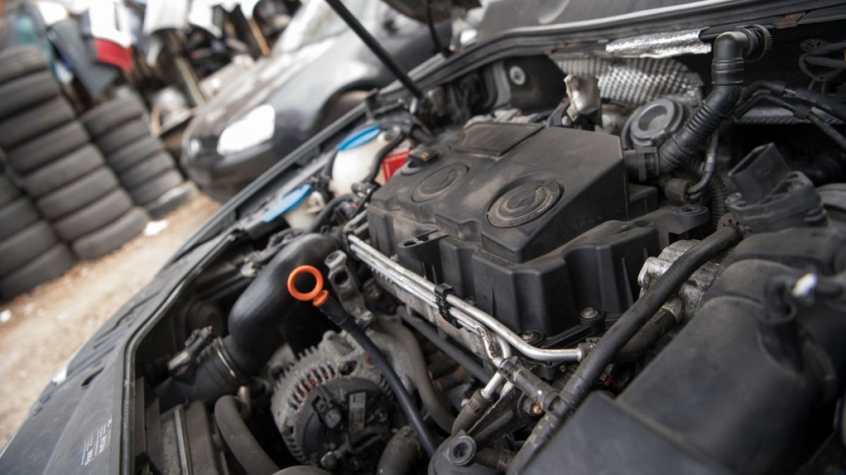 Dieselmotor (Foto)