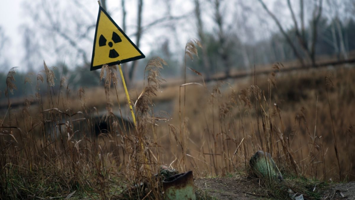 Ein Strahlenwarnzeichen steht in der Sperrzone um das explodierte Atomkraftwerk Tschernobyl. (Foto)