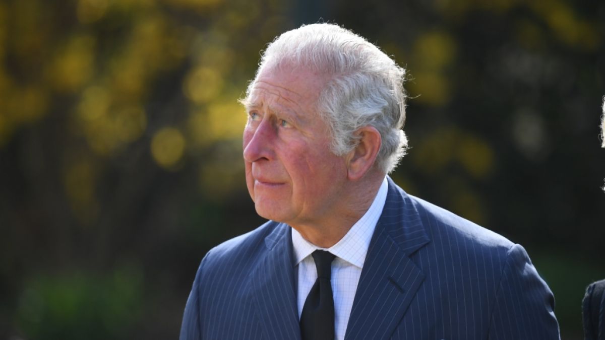 Prinz Charles hat sich den Zorn einiger Royals-Fans zugezogen. (Foto)