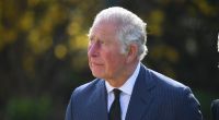 Prinz Charles hat sich den Zorn einiger Royals-Fans zugezogen.