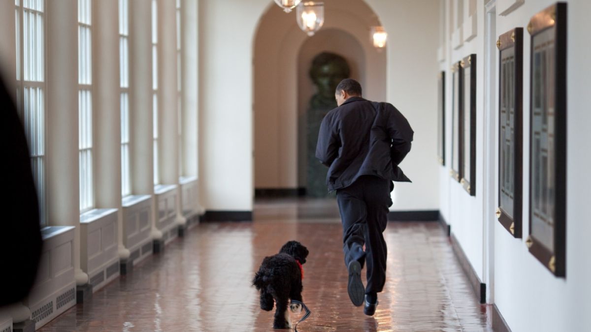 Barack Obama trauert um seinen toten Hund Bo. (Foto)