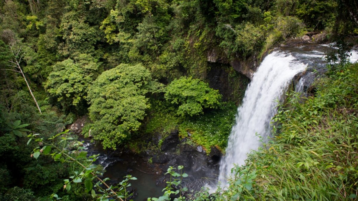 Eine Frau stürzte in Cairns einen Wasserfall hinab. (Foto)