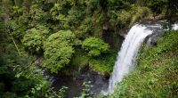 Eine Frau stürzte in Cairns einen Wasserfall hinab.