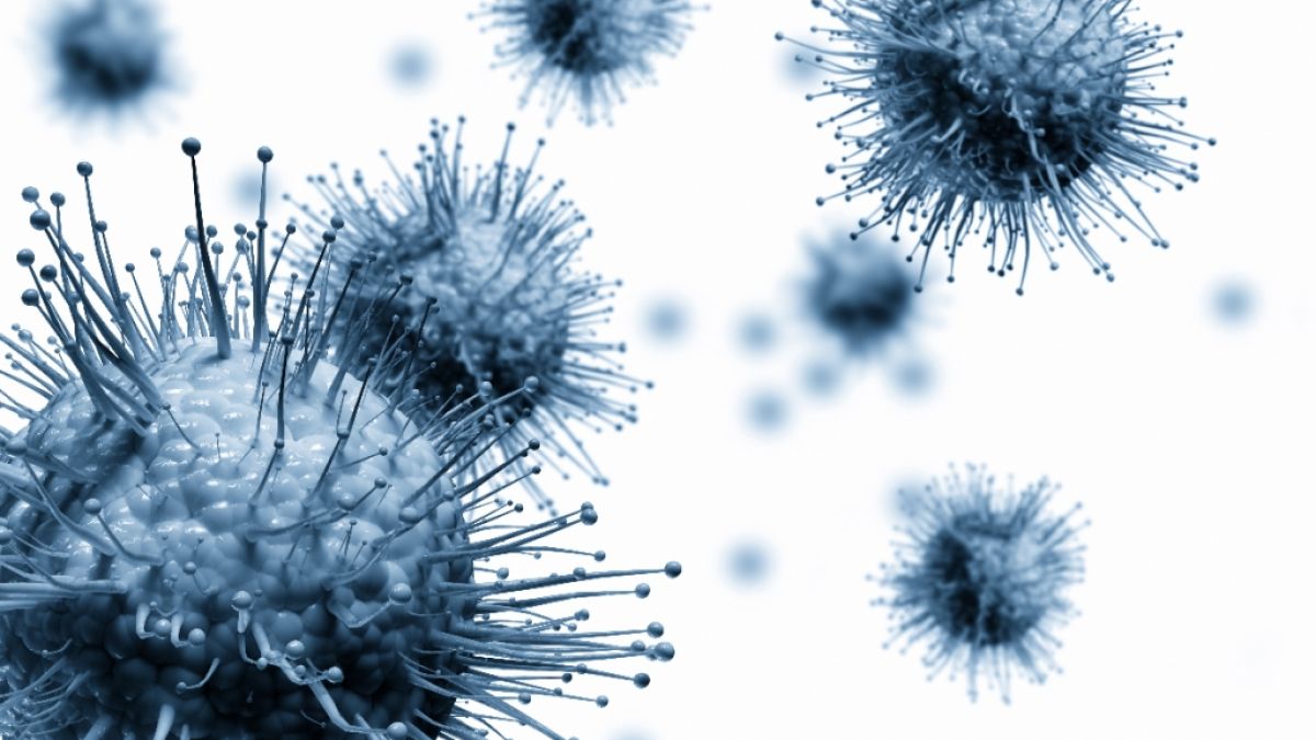 Forscher blicken mit Sorge auf die nächste Grippe-Saison. Diese kann aus zwei Gründen schwer ausfallen. (Foto)
