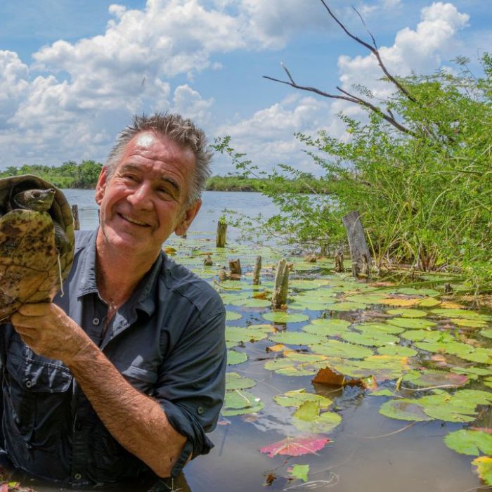 Wiederholung der Naturreihe online und im TV Wiederholung der Naturreihe online und im TV (Foto)