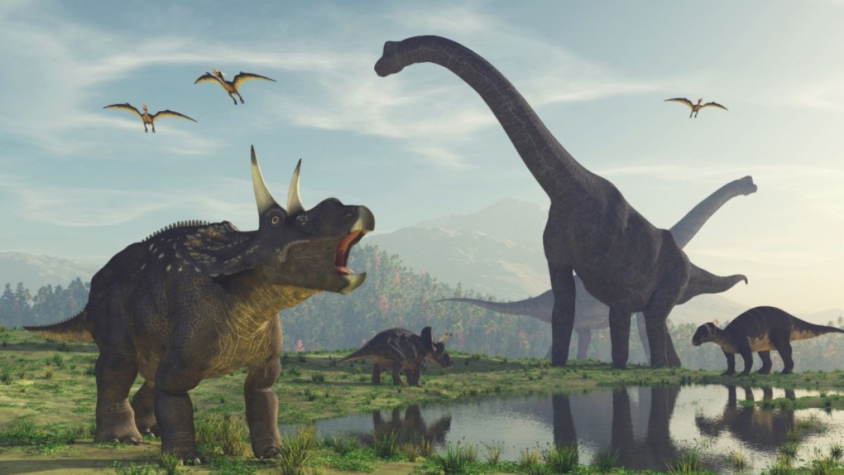 In Mexiko haben Forscher eine neue Dinosauriergattung entdeckt (Foto)