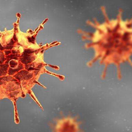 Experten warnen: Dieses Virus ist tödlicher als Corona!