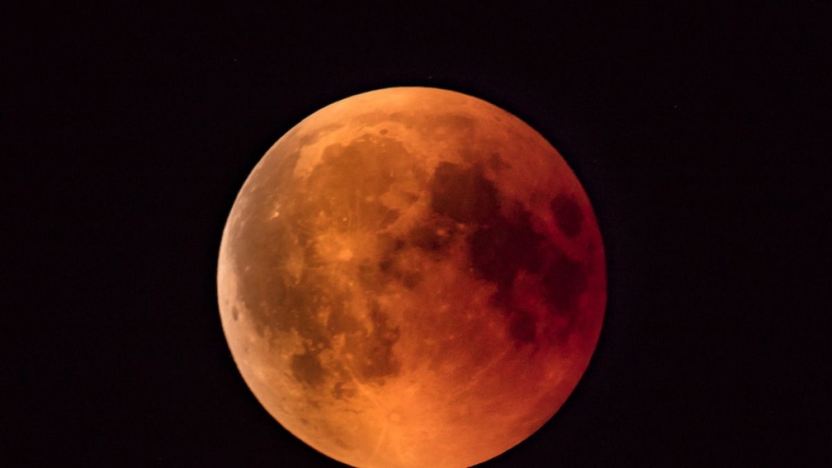 In dieser Woche dürfen sich Hobbyastronomen auf eine totale Mondfinsternis freuen. (Foto)