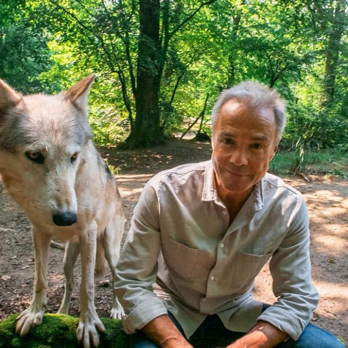 Wiederholung der Tierreihe online und im TV Wiederholung der Tierreihe online und im TV (Foto)